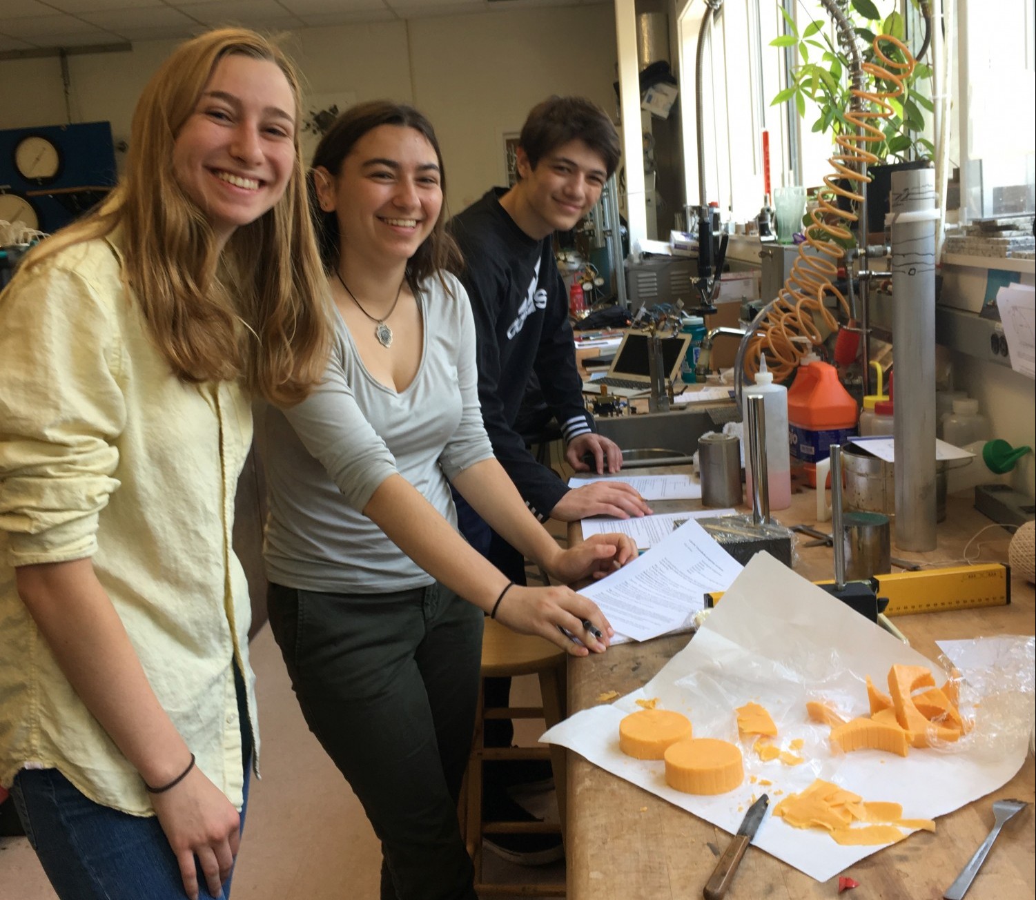 Summer interns "Team Cheddar" learn about ice and rock rheology by using cheese (2019).