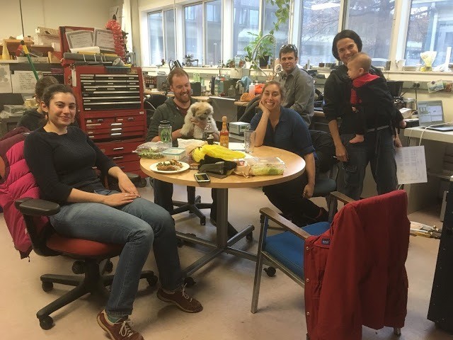Rock Mechanics Lab (Hannah, Heather, Mike, and Christine) with, respectively, boyfriend (Martin), pup (Charlie), daughter (Norah, hiding), and baby (Seb) (2016).