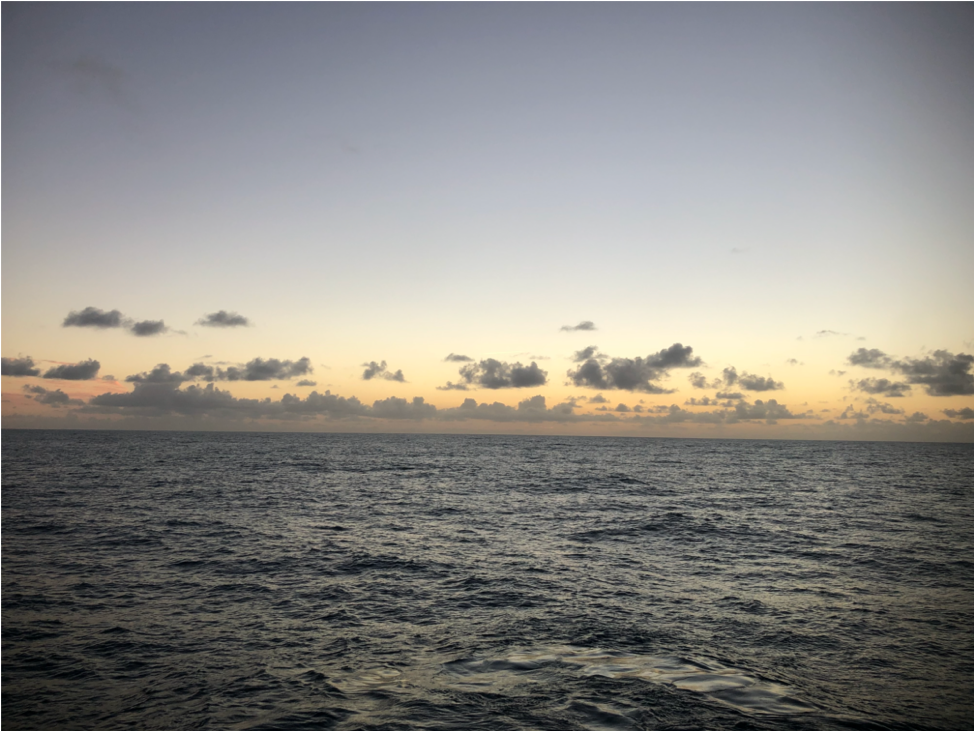 catching the next eruption of axial volcano