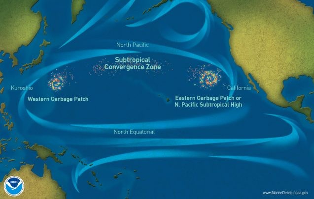 diagram shows where ocean plastic collects in gyres