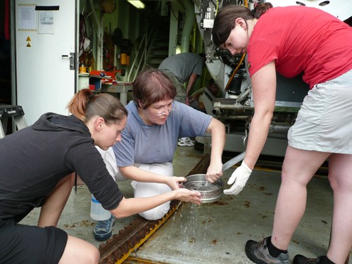 Nora Nikolov, Ingrid Kolar and Sabine Gollner, who work with Monika Bright at the University of Vienna, filter water that was collected on that day’s dive.