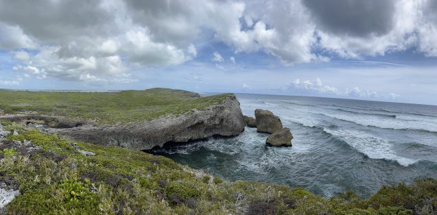 rocky coastline and ocean waves