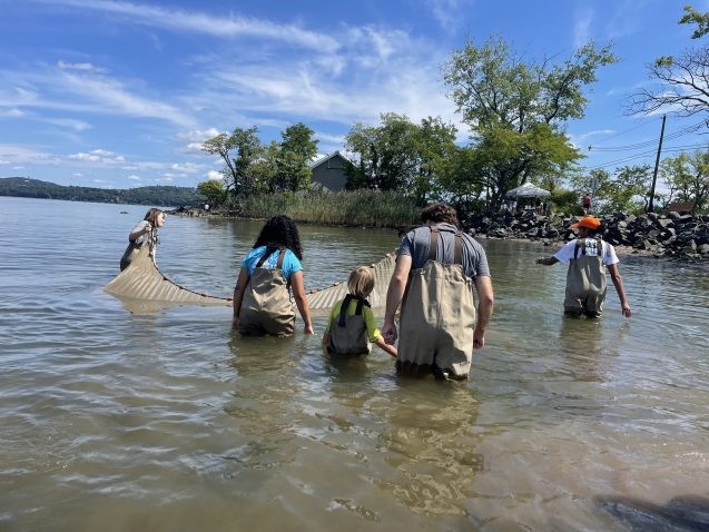 Children and adults wearing waders enter a river holding a net