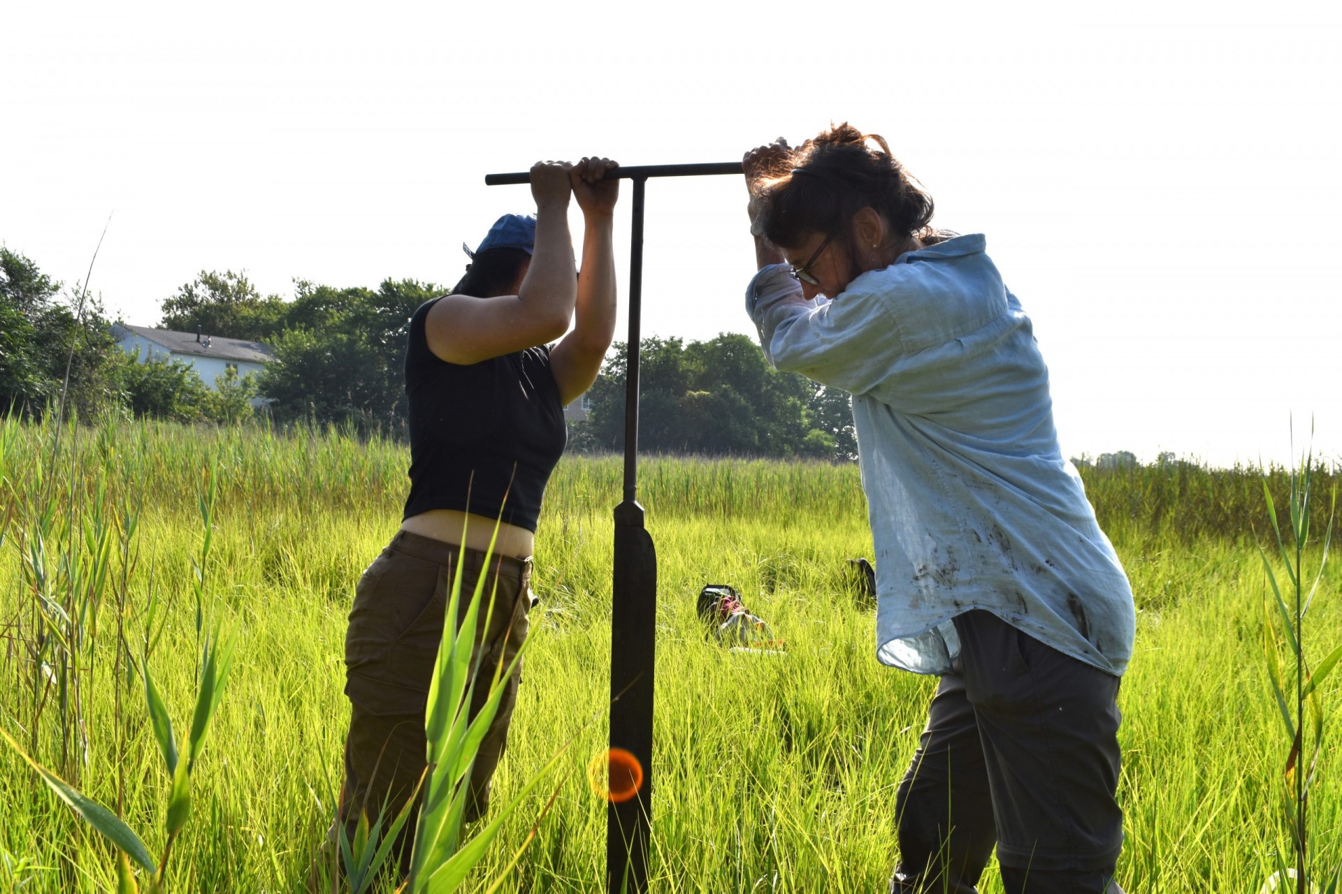 shes on a mission to plumb the secrets of new yorks disappearing wetlands