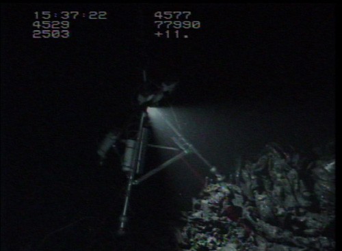 The VentCam lights up a fresh lava pile within the axial summit trough of the East Pacific Rise.