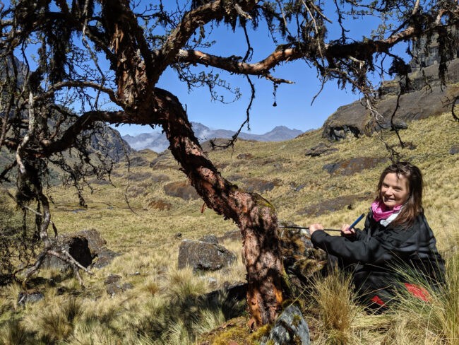 Tree-ring expert and Ph.D. candidate Rose Oelkers kneels by a tree in the mountains of Bolivia.