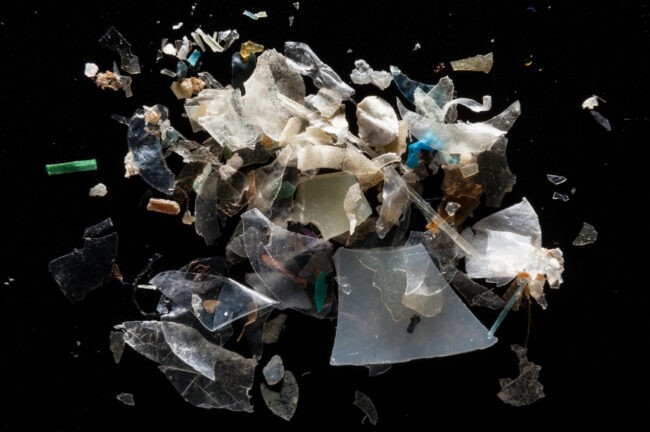 Microplastics in the Chesapeake Bay Watershed