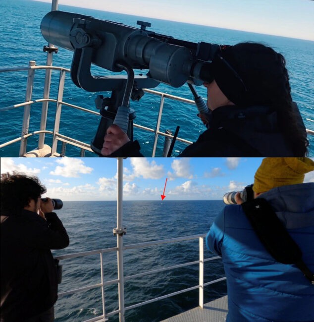 Photo collage of people looking through binoculars trying to locate animals on a ship.