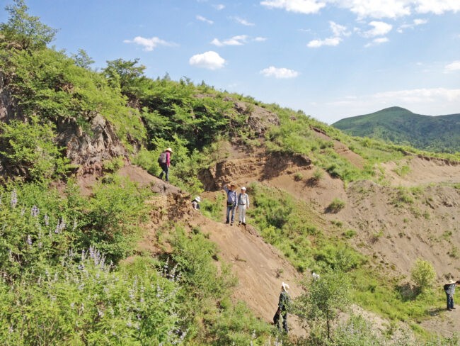 Site of fossil dig along a cliff.