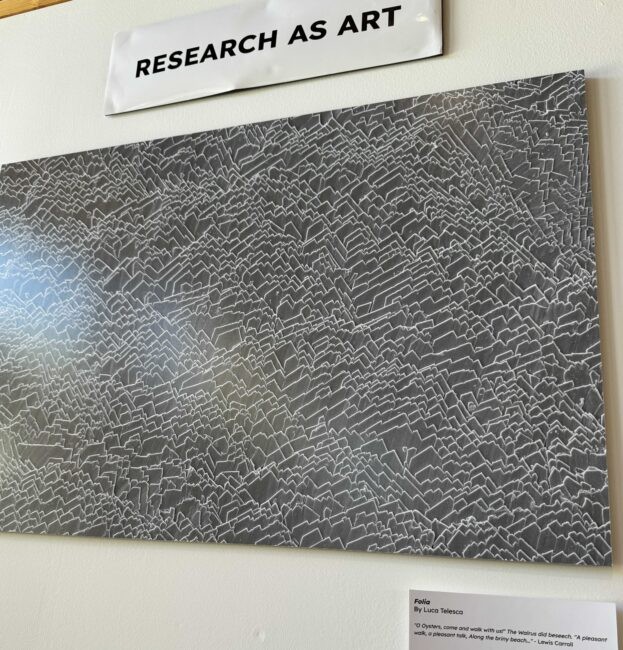 An art installation explores the connection between research and art. Here, what the inside of an oyster shell looks—kind of like a jagged white-and-black mountain range—under a powerful microscope.