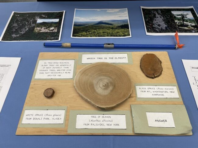 In the Tree Ring Lab, visitors are challenged to think like a dendrochronolgist and read the rings to determine a tree's age.