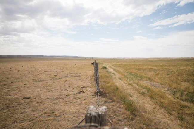 Dry pasture land