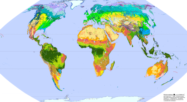 Map of global with vegetation zones