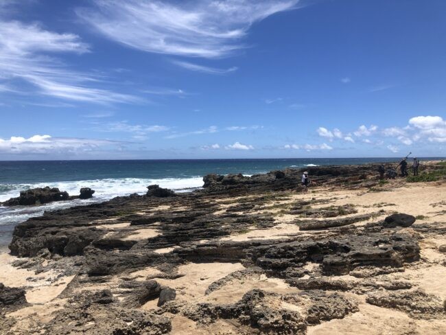 Last Interglacial beach unit (125,000 years old), Oahu, Hawaii, June 2023. LDEO's Mo Raymo (left) and Steve Goldstein (right). Credit: Jacky Austermann, Lamont-Doherty Earth Observatory