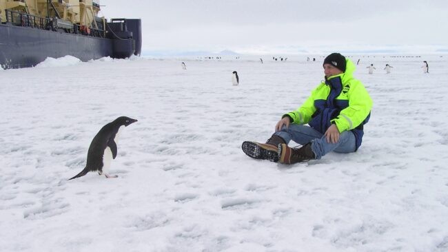 A penguin studies Lamont biologist Raymond Sambrotto, the Amundsen Sea, December 2008. Credit: Xiaojun Yuan, Lamont-Doherty Earth Observatory