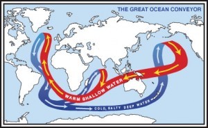 The Great Ocean Conveyor shapes the climate by moving heat around the globe.