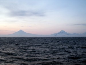 IMG 9781 300x225.jpg