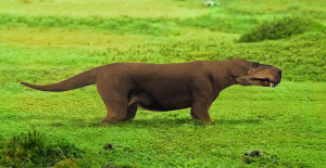 therapsid 300x155.png