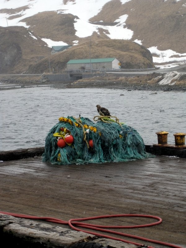 IMG 9885.jpg