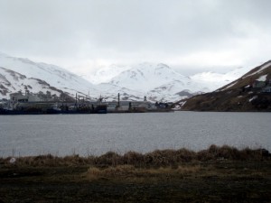 IMG 9895 300x225.jpg