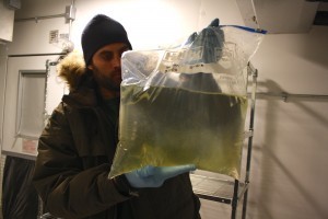 Craig holds a bag containing water from a melted ice core that he drilled a few days ago. The water looks murky due to the presence of algae. 