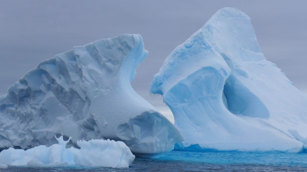 The color and shape of the icebergs form pieces of glacial ar (Photo M Turrin.