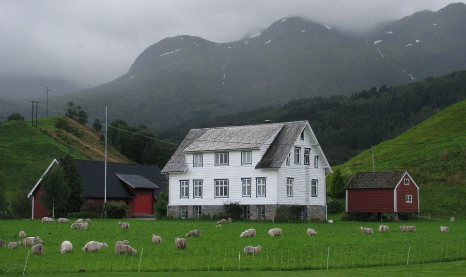 Sheep are more common than people in this part of Norway, where short growing seasons, wet weather and rocky soils make traditional farming impractical. Norwegians have long relied upon wool, fish and potatoes for survival. (Templeton)
Norway 14