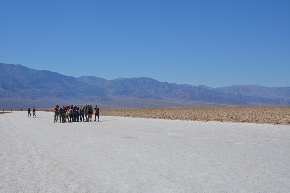 On the bed of the prehistoric lake that once filled Death Valley, salt crystals grow and disrupt the sedimentary surface. Left undisturbed, the natural furrows formed by the crystals resemble a plowed field. But when it rains or people tr 16 badwater 16