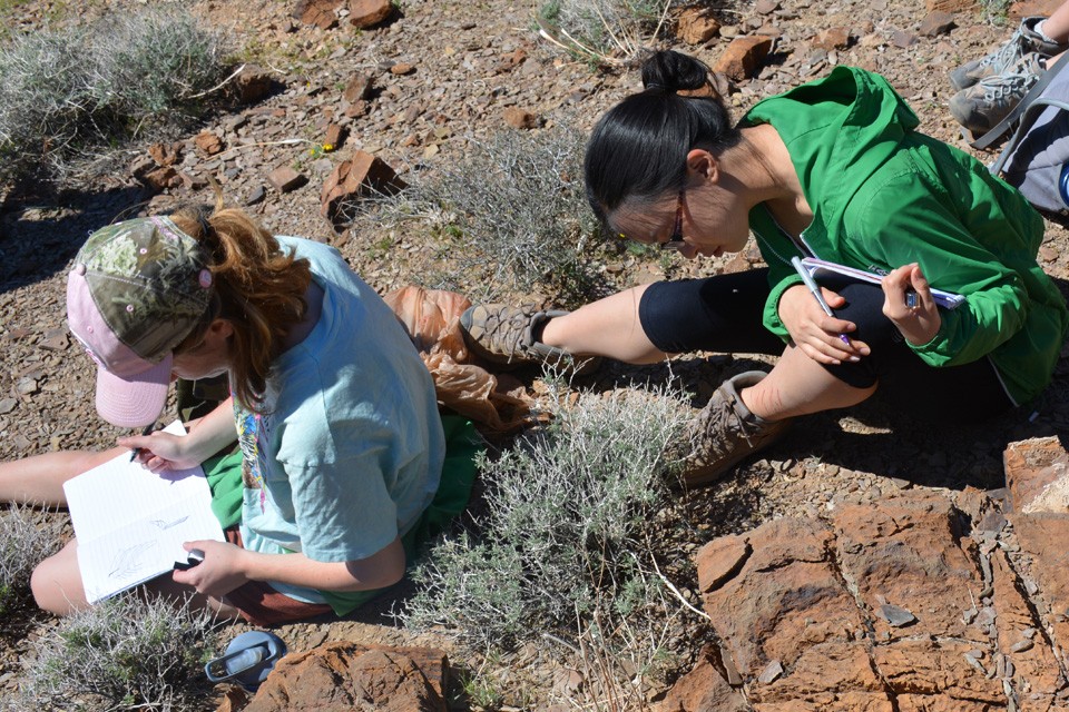 The rocks at Emigrant Pass contain remnants of microbial life that dominated the planet before complex life appeared during the Cambrian explosion. Marissa Wasmuth (left) and Anna Fu sketch the shapes imprinted in the rock to understand their three-d 18 stromato