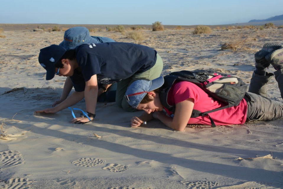 While Death Valleyâs Mesquite Flat Dunes are popular with tourists, Christie-Blick prefers to take his students to a set of smaller, less-traveled dunes nearby. Here, Meara Hayden (right), Tina Liu and Xin Xu examine variations in sand grain si DV14
