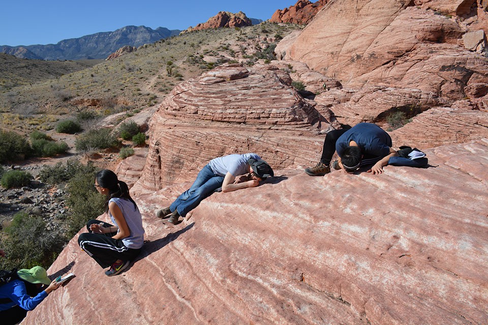 Hours after landing in Las Vegas, the students are set loose on the sandstone rocks of Calico Hills to figure out why the pink and white layers of rock are crisscrossed. They get one clue: the sediments were deposited about 180 million years ago, whe dunes resized