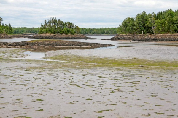 Cobscook Bay State Park, Maine. Photo: W. Menke