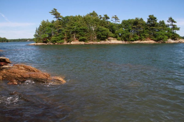 Wolfe Neck Woods State Park, Maine. Photo: W. Menke