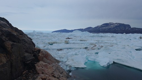 Alison Fjord filled with icy mélange. (Photo M. Turrin)