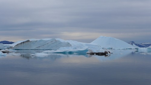 When out on the water icebergs fill your vision in every direction. (Photo M. Turrin)