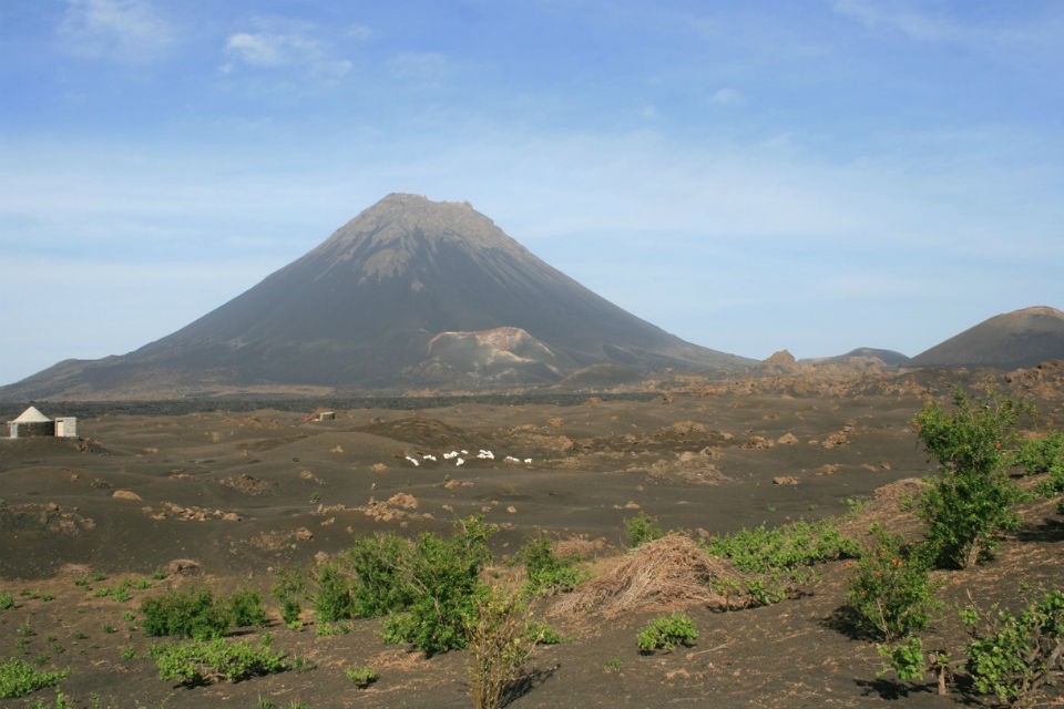 Previous eruptions have enriched Fogoâs soil. In the early 20th century, a former French count serving a criminal sentence on the island, got the idea to plant grapes. The vineyards that have expanded across the caldera since then are the source fogo before 960