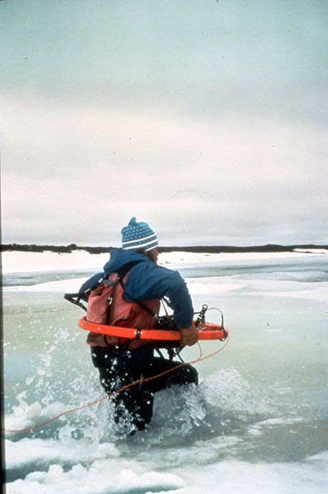 Increased human use of resourcesâespecially fossil fuelsâis affecting the far north, mainly in the form of rapid warming. Here, in late spring a geophysicist dashes across a lake that in times past would have been solid ice. (Hugo Dummett) 18