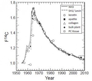 A chart of the "bomb curve" used in dating the two illegal elephant tusks.