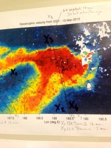 From the bulletin board of the laboratory aboard L’Atalante: A printout of the targeted chlorophyll patch in the South Pacific and the trajectory of the ship’s path as physical and biological oceanographers characterize this region.