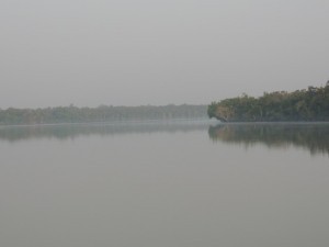 Sailing through the Sundarban Mangrove Forest