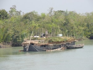 A boat harvests leaves for thatching roofs in the Sundarbans.  