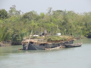 A boat harvests leaves for thatching roofs in the Sundarbans.