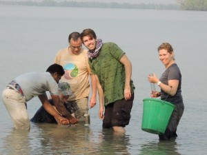We finish collecting our last sample as the tide came in and water covered the site. We had to pound the last bit of the sampler through the water.