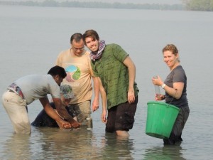 We finish collecting our last sample as the tide came in and water covered the site.  We had to pound the last bit of the sampler through the water. 