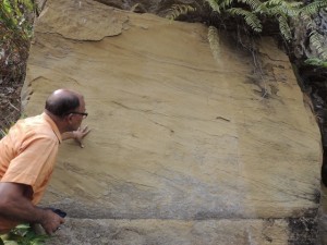 Humayun examining crossbeds in a sanstone outcrop