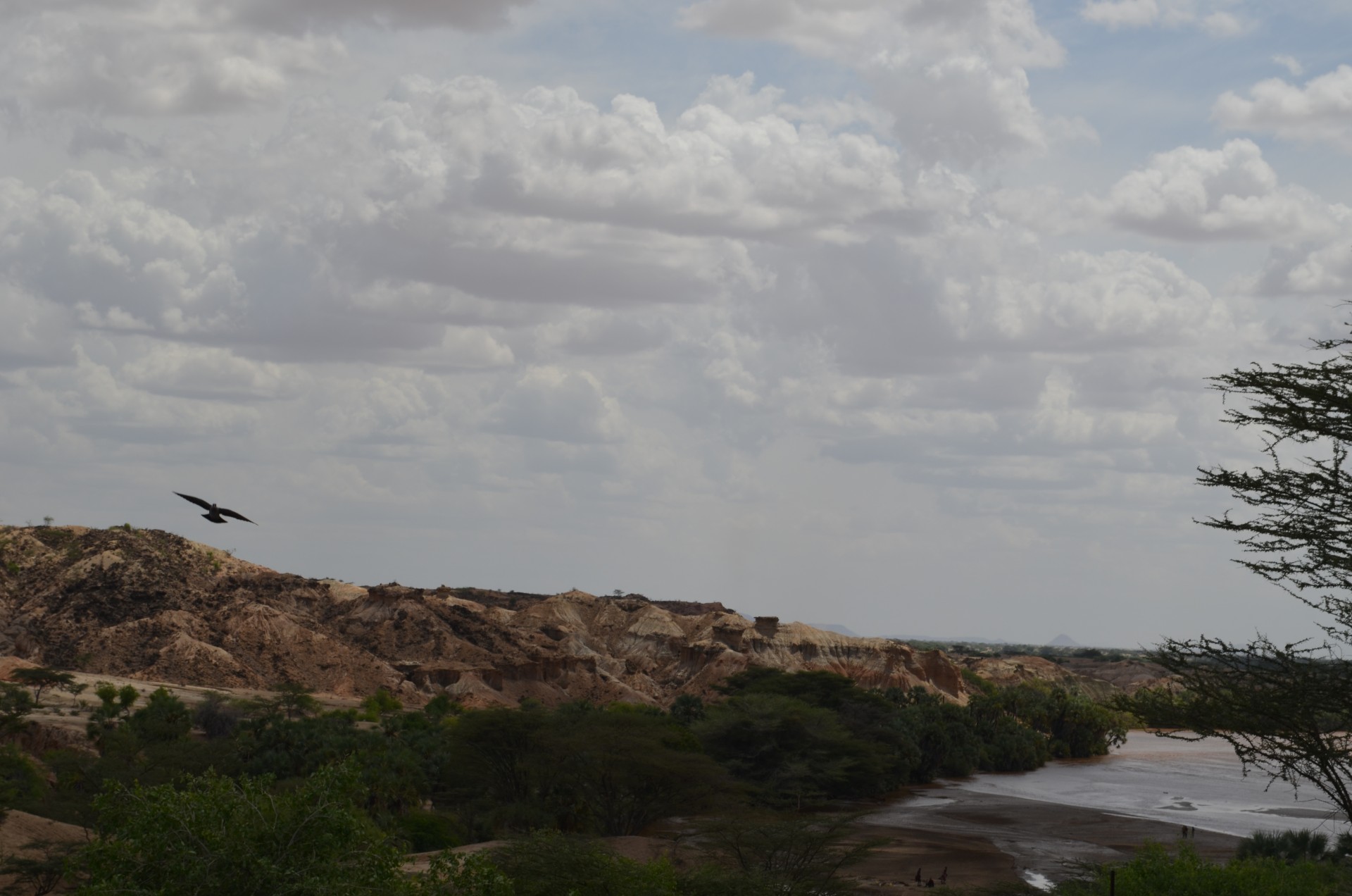 Deeply eroded badlands like these near the Turkwel River are ideal for finding fossils and artifacts.