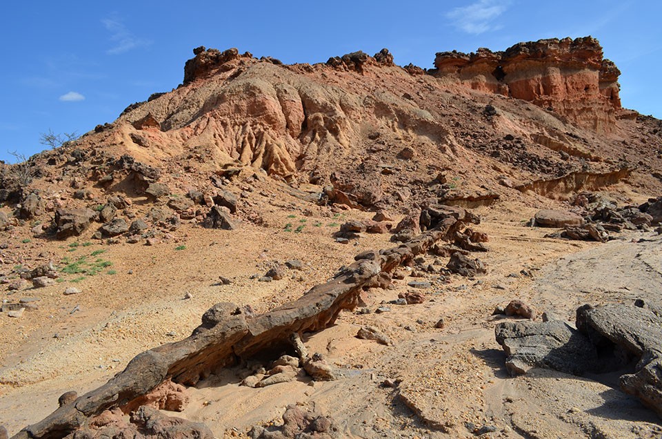 Earthquakes are also frequent, as evidenced by this erosion-resistant old fault snaking though the landscape. Faults tend to confuse the chronological picture, because they thrust up some sections of land while dropping others down, putting layers ou 11