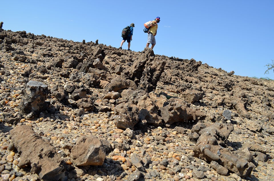 The petrified roots of a onetime forest, from wetter times during the Pliocene, which started 5.3 million years ago. The soil and trees that grew above them are long gone, eroded away by time. 18