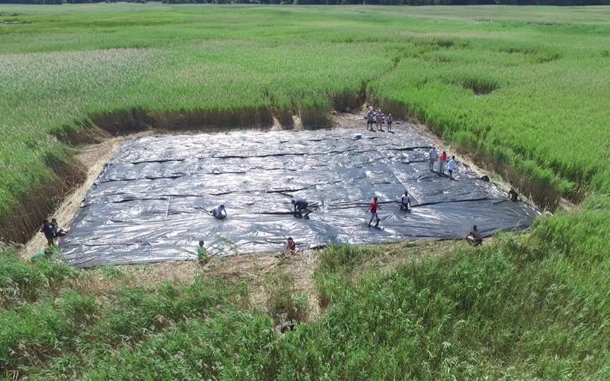 Piermont Marsh, along the Hudson River, has been overtaken by an invasive reed species called phragmites. Students in our high school field work program spent the summer studying the marsh and testing non-chemical methods to restore its native divers SSRFP 2015 Field Work: Piermont Marsh