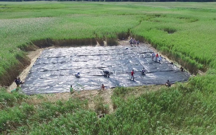 SSRFP 2015 Field Work: Piermont Marsh